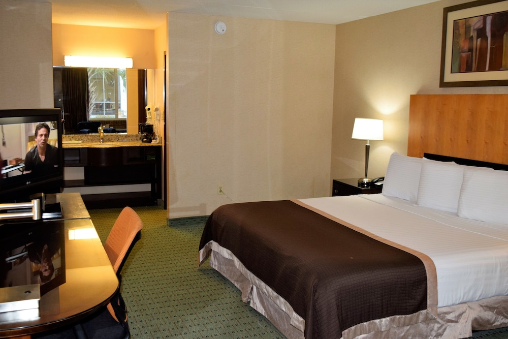 Deluxe Room, 1 King Bed, Pool View (No Pets Allowed) photo 1