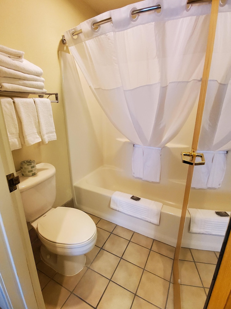 Suite, 1 Bedroom, Non Smoking - Photo 15