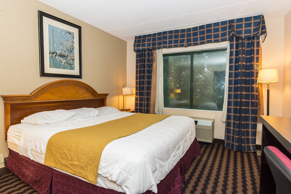 Standard Room, 1 King Bed photo 2