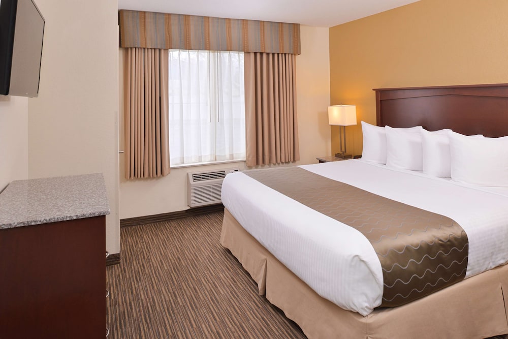 Suite, 1 King Bed, Non Smoking, Refrigerator & Microwave (2nd Floor) - Photo 5