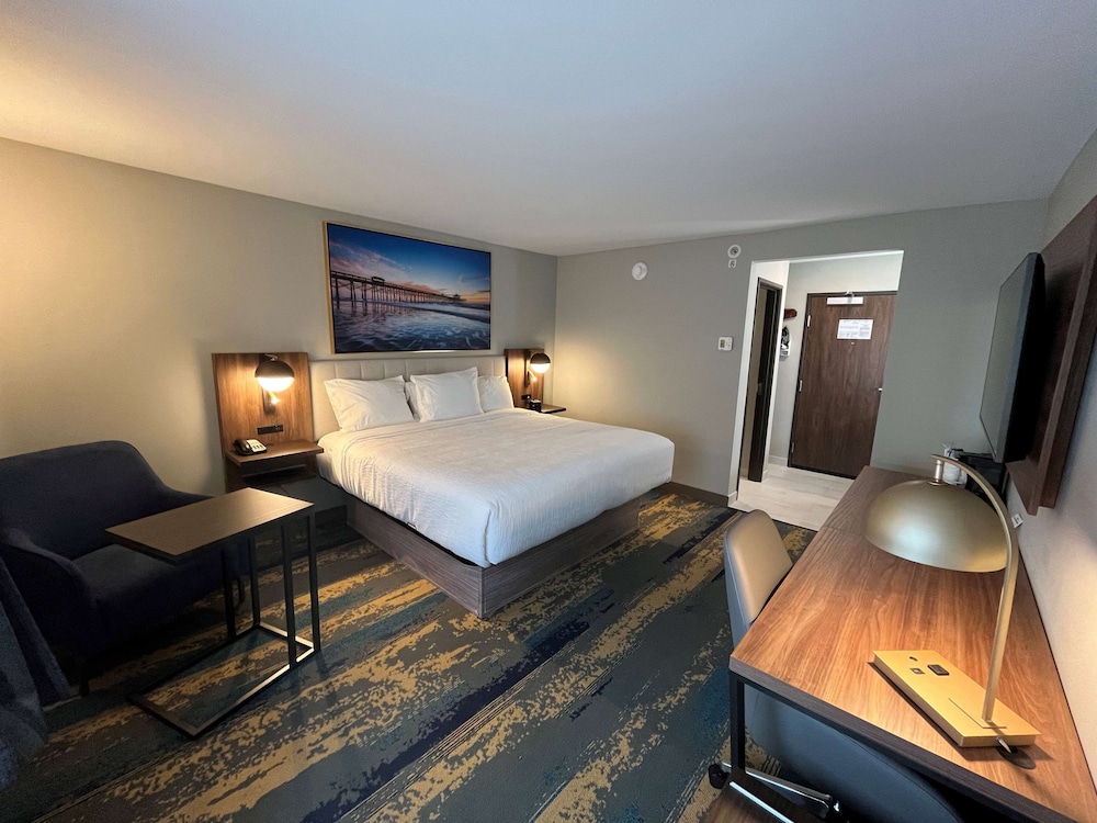 Standard Room, 1 King Bed, Non Smoking - Photo 1