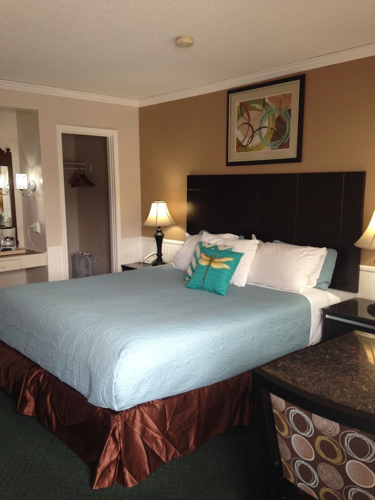 Traditional Room, 1 King Bed photo 1