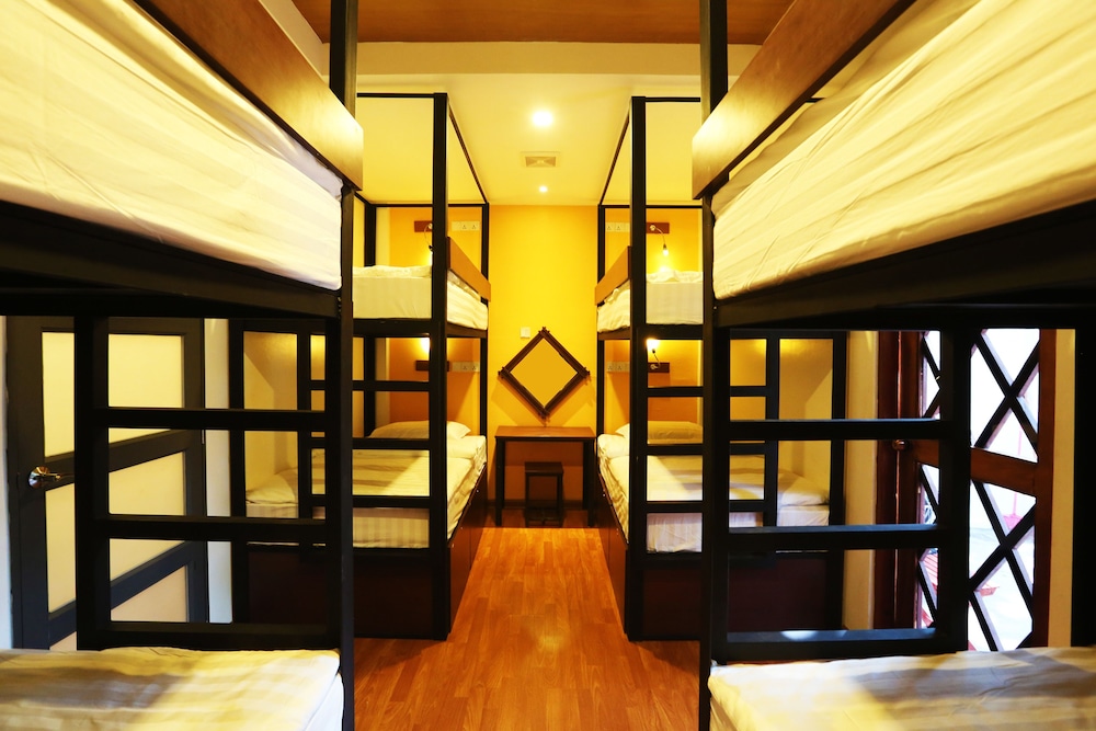 Mixed Dormitory 8 Beds (Bunk Bed) photo 3