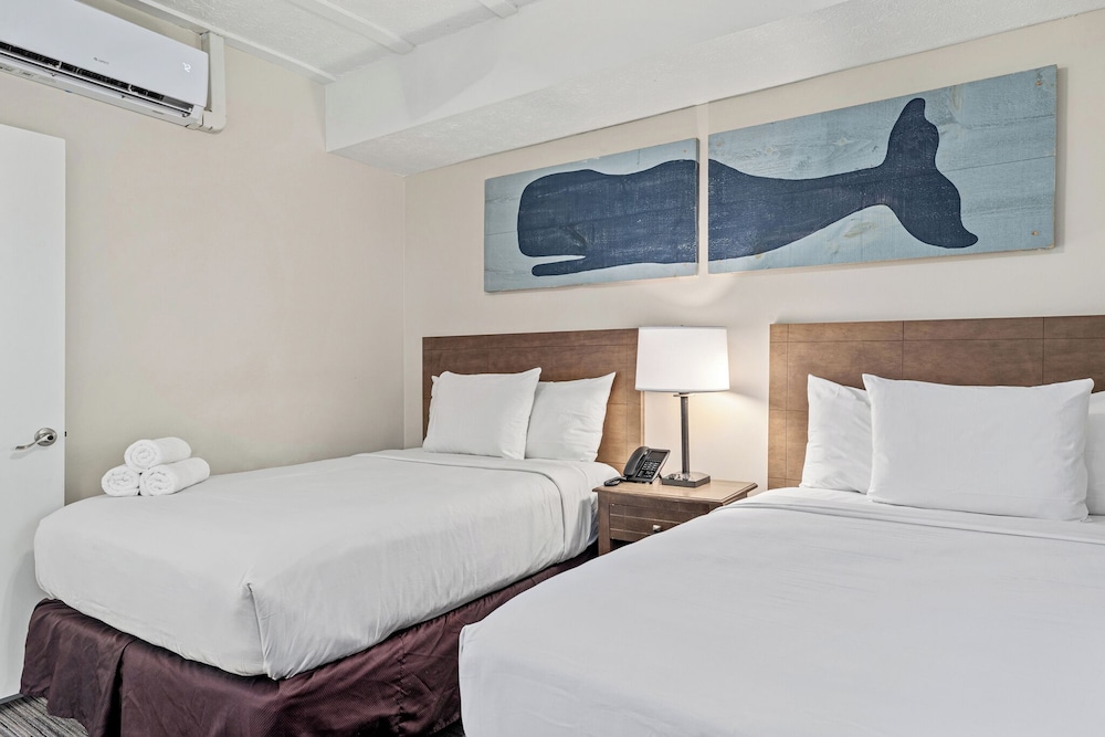 Suíte de 1 Quarto com Duas Camas de Casal e Sofá-Cama Sem Vista