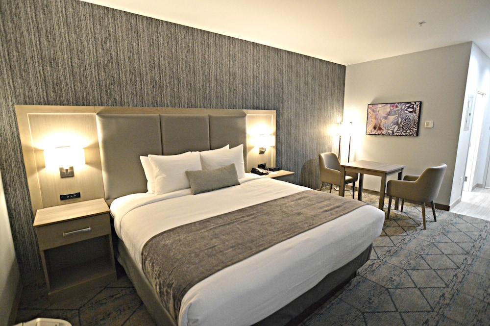 Standard Room, 1 King Bed, Non Smoking, Kitchenette (Shower Only) - Photo 3