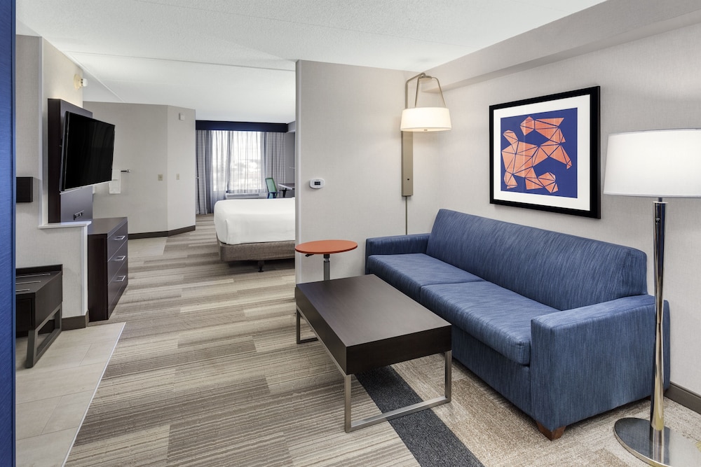 Suite, 1 King Bed with Sofa bed, Accessible (Communications) - Photo 1