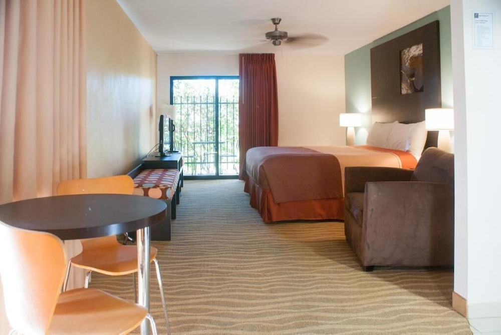 Studio Suite, 1 King Bed, Non Smoking (Ground Floor) - Photo 2