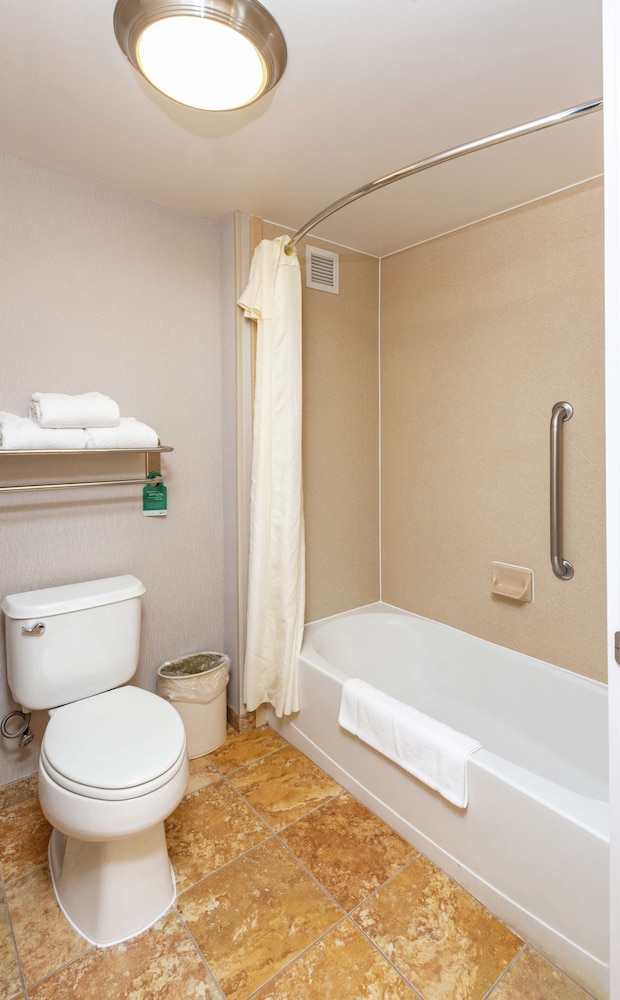 Suite, 1 King Bed, Non Smoking - Photo 5