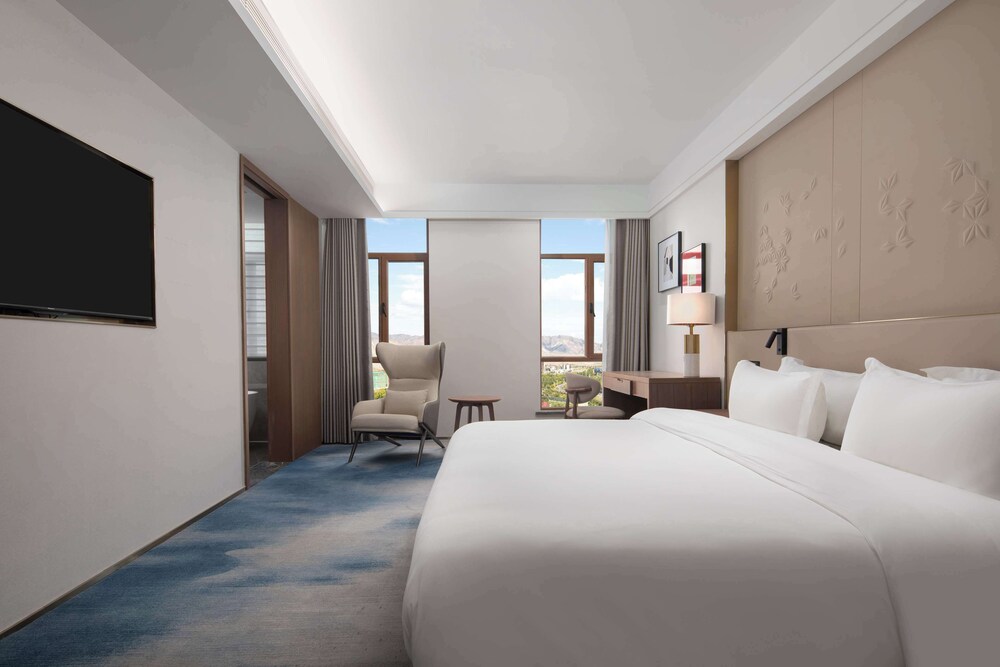 Deluxe Suite, 1 King Bed photo 1