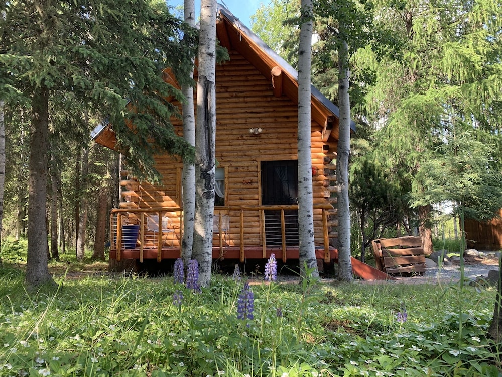 Peacefull Cabin #6 on the Kenai River photo 2