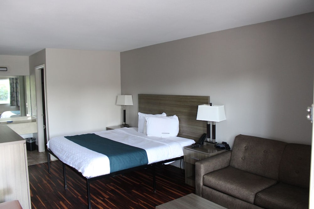 Deluxe Room, 1 King Bed, Smoking, Refrigerator & Microwave photo 1