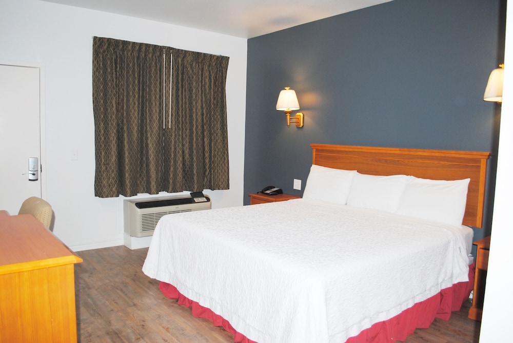 Standard Single Room, 1 King Bed - Photo 3