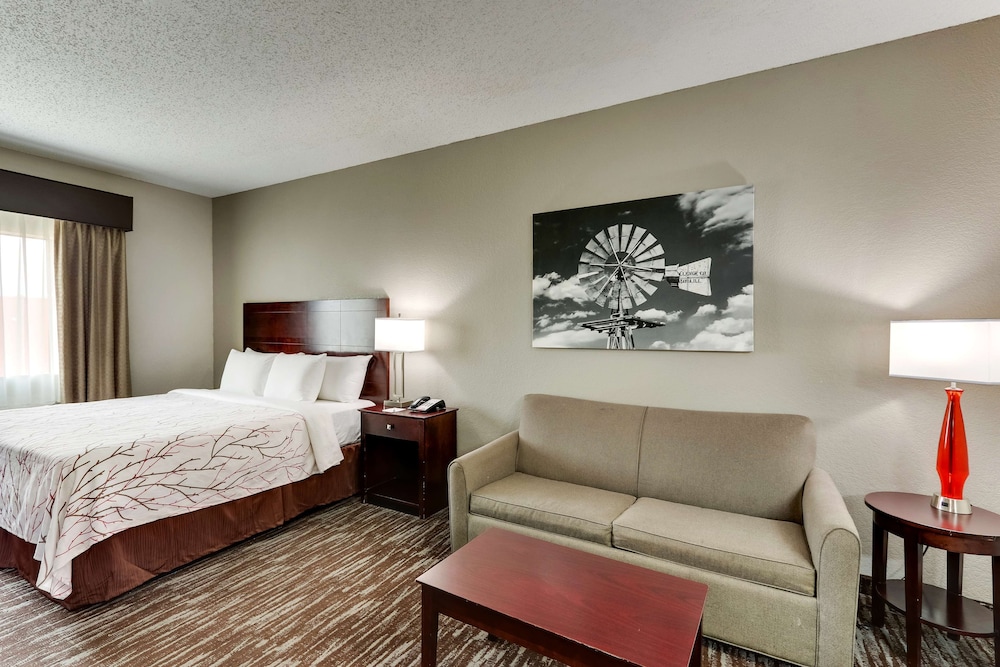 Standard Room, 1 King Bed, Non Smoking, Kitchenette (with Sofabed) - Photo 3