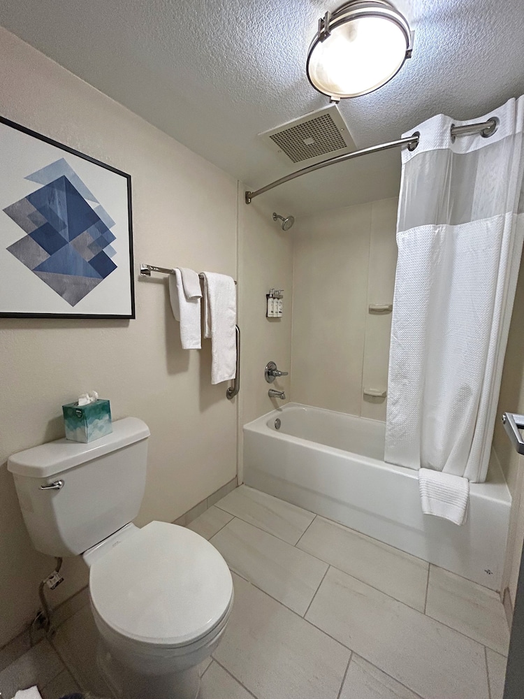 Studio Suite, 1 King Bed - Photo 15