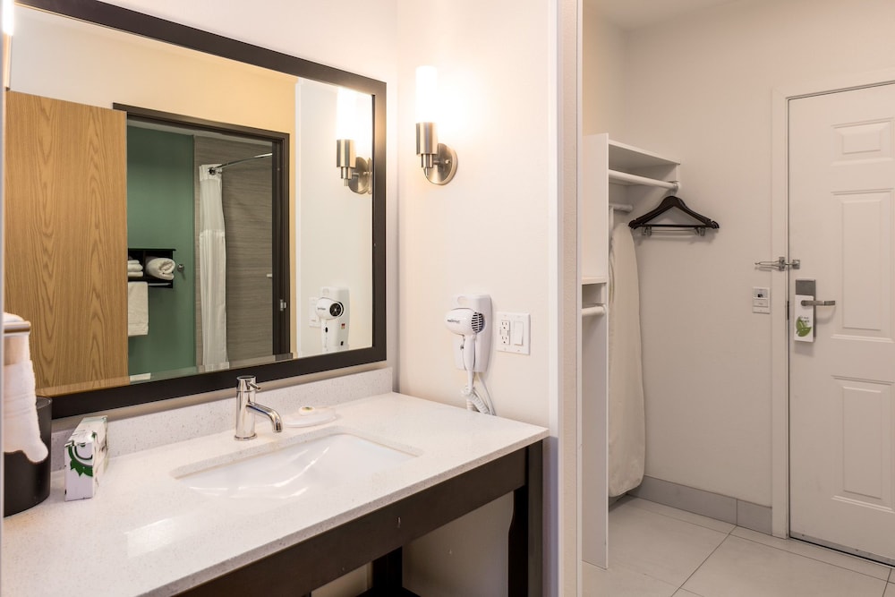 Deluxe Suite, 1 King Bed, Refrigerator & Microwave (Non Pet Friendly) - Photo 16