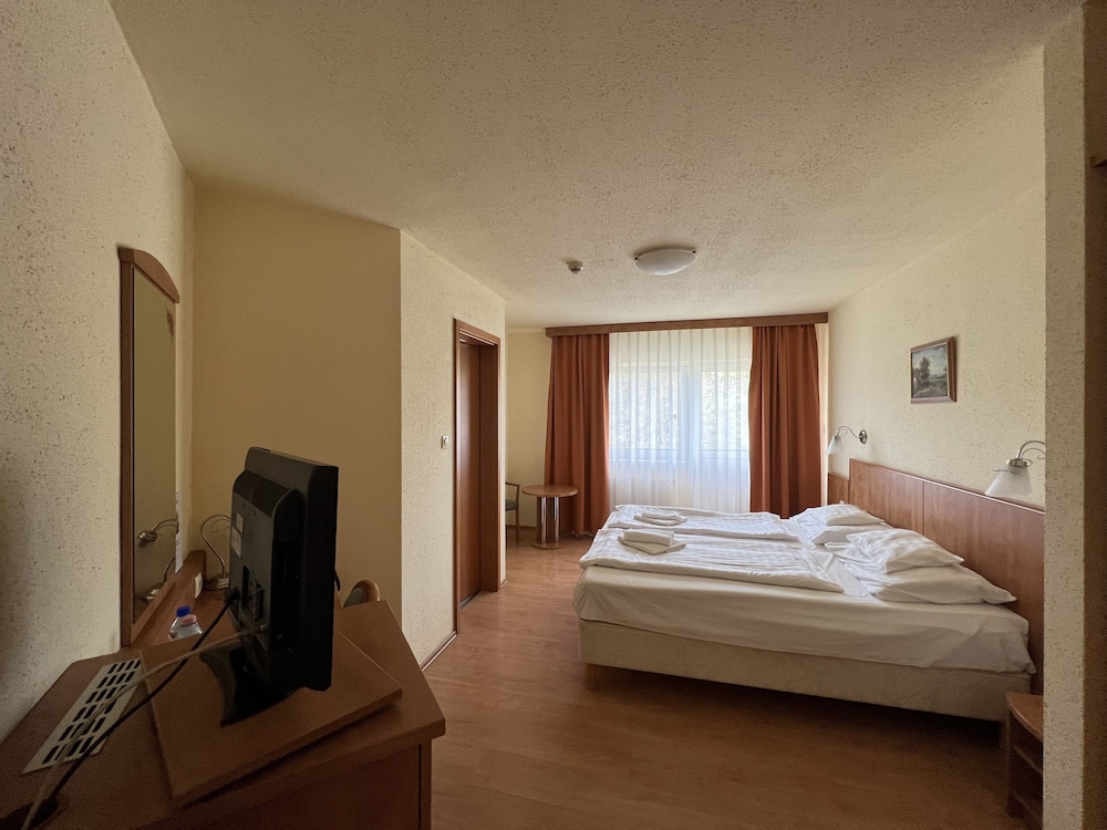 Superior Double Room photo 1