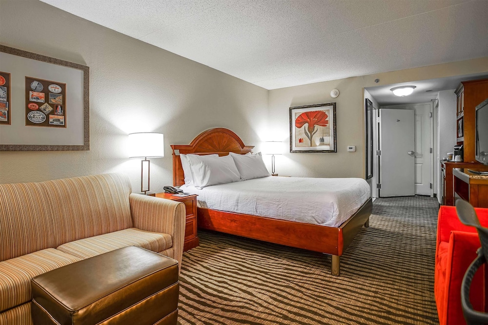 Room, 1 King Bed, Non Smoking - Photo 1