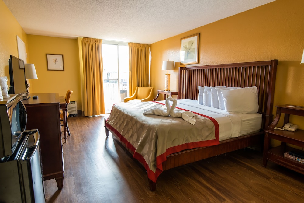 Standard Room, 1 King Bed (Accessible King), photo 6
