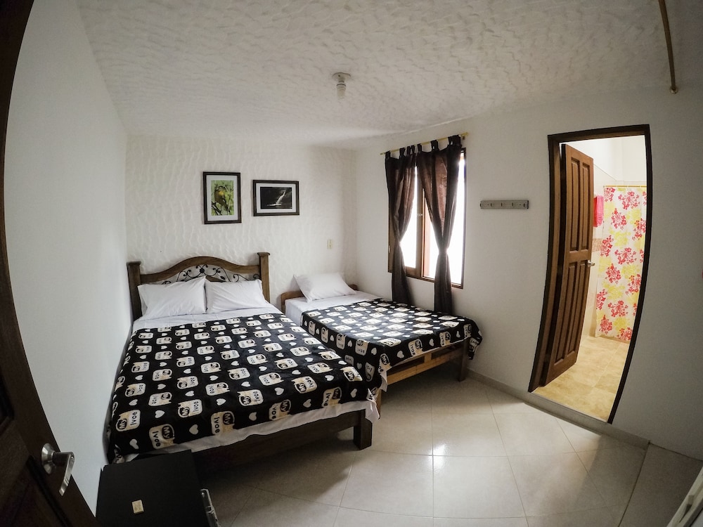 Basic Double Room