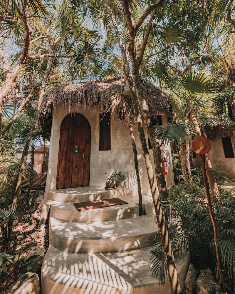 Casita Ocean View With Pool - Photo 8