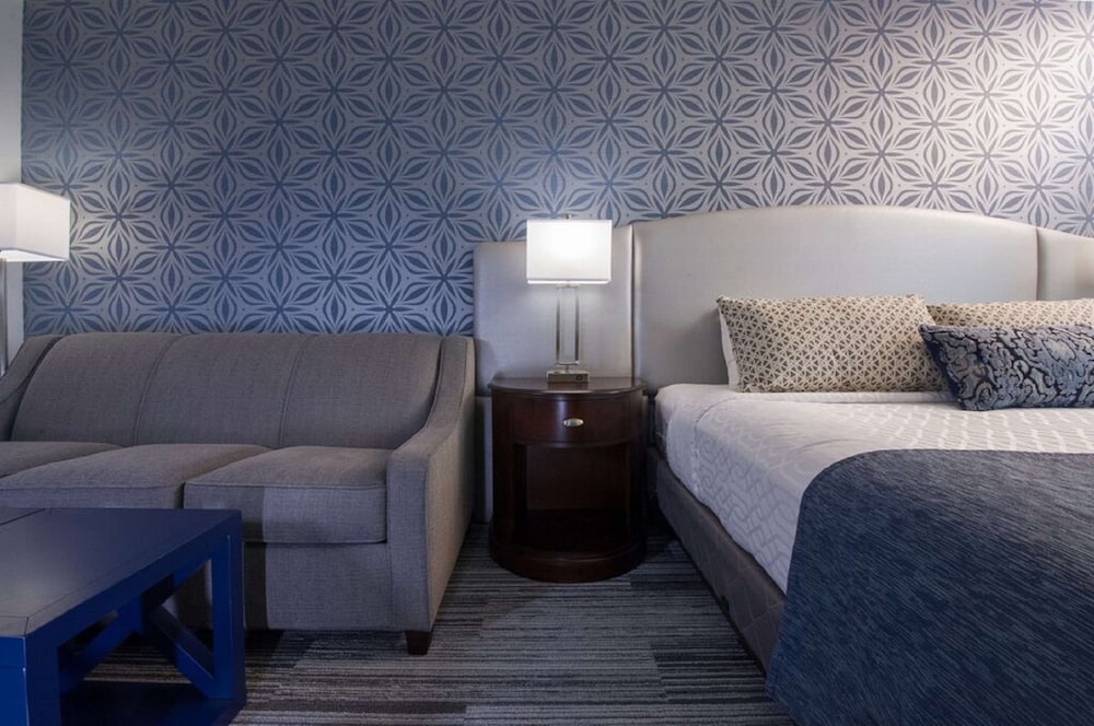 Standard Room, 1 King Bed, Non Smoking (Larger Room;with Sofabed) - Photo 1