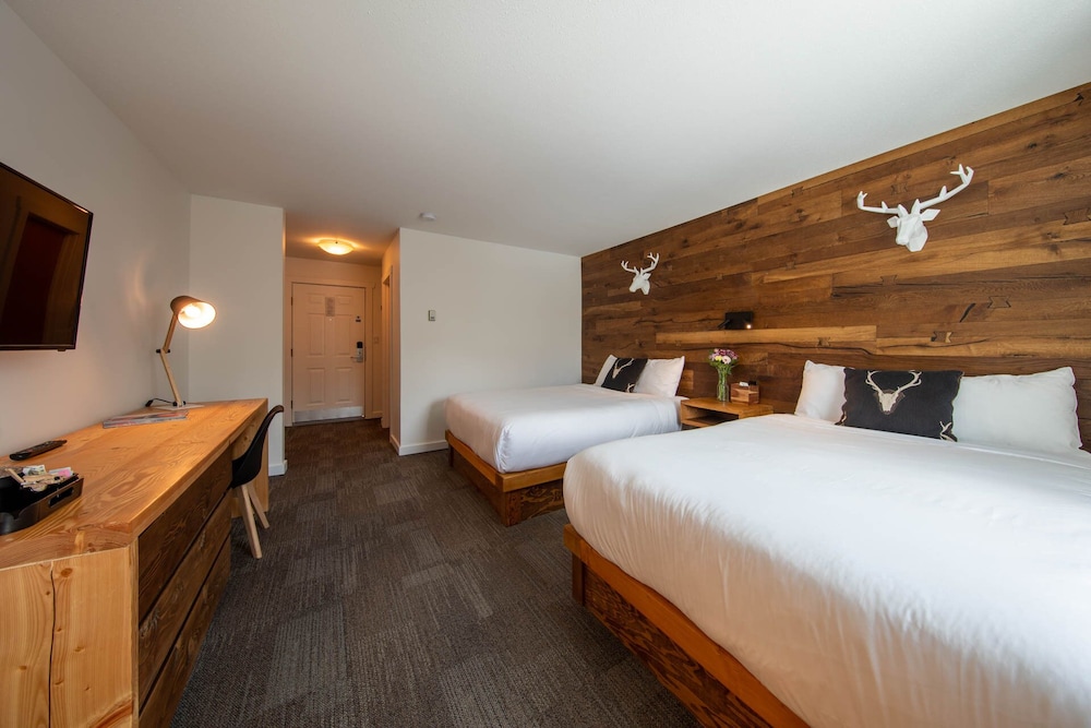 Room, 2 Queen Beds, Mountain View photo 3