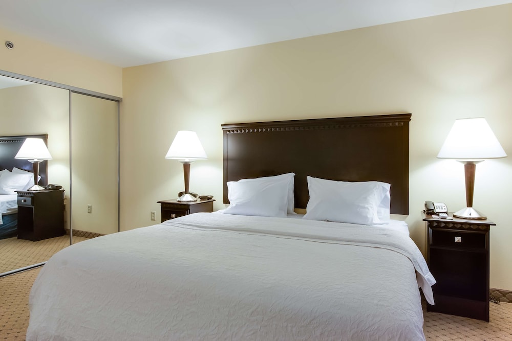 Suite, 1 King Bed, Accessible, Non Smoking photo 2
