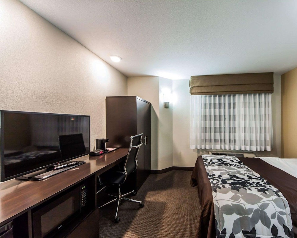 Room, 1 Queen Bed, Accessible, Non Smoking - Photo 3