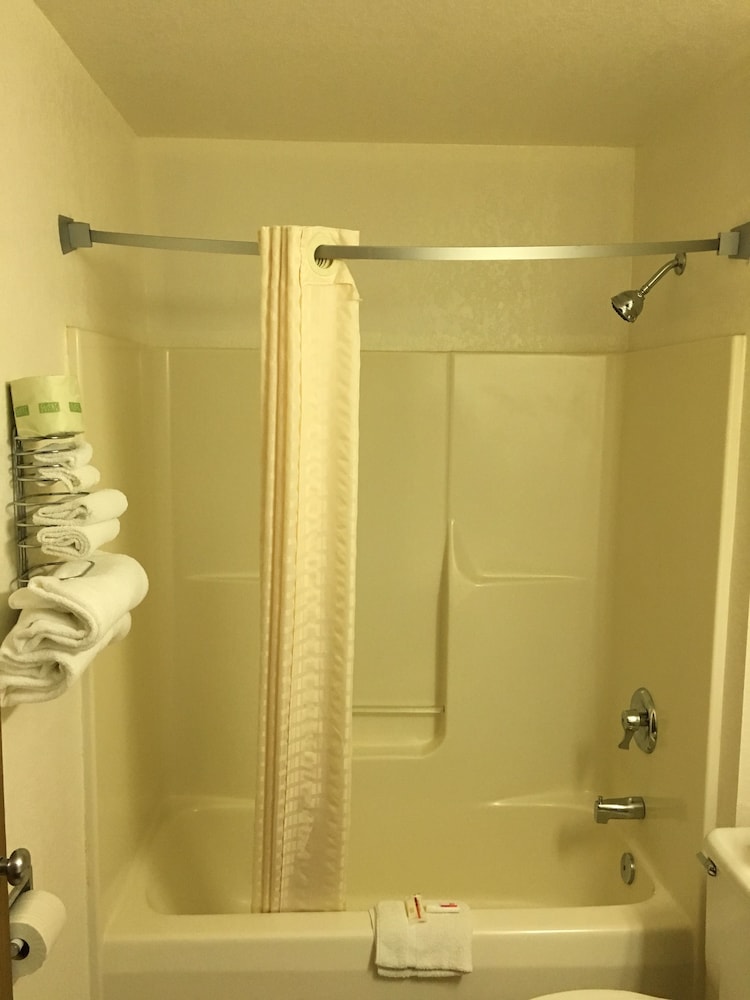 Studio Suite, Multiple Beds, Non Smoking - Photo 11