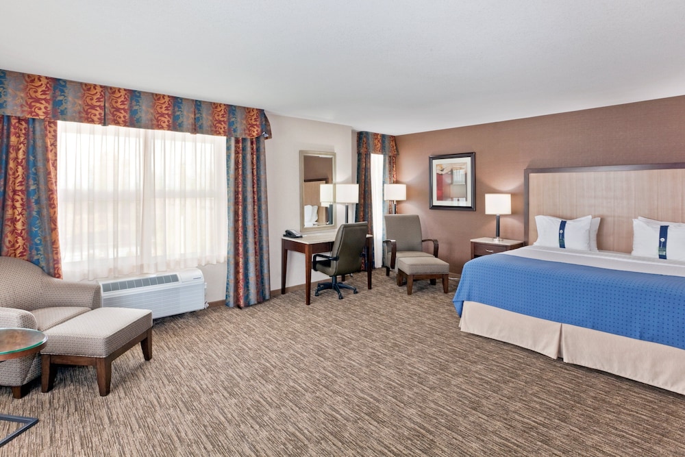 Suite, 1 King Bed, Accessible
