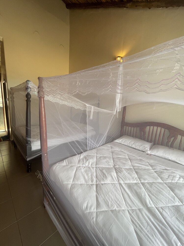 Deluxe Twin Room photo 1