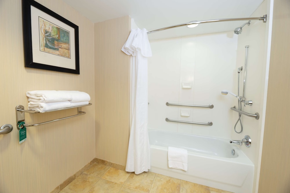 Studio, 1 King Bed, Accessible, Bathtub - Photo 5