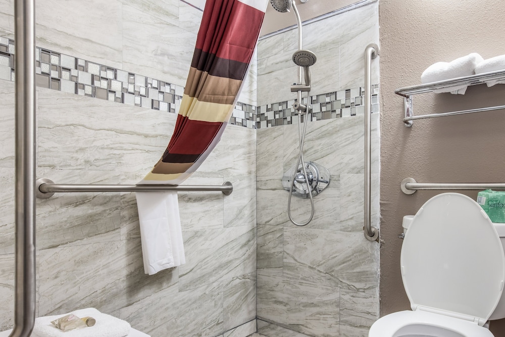 Deluxe Room, 1 King Bed, Accessible, Non Smoking (Roll-In Shower) - Photo 4