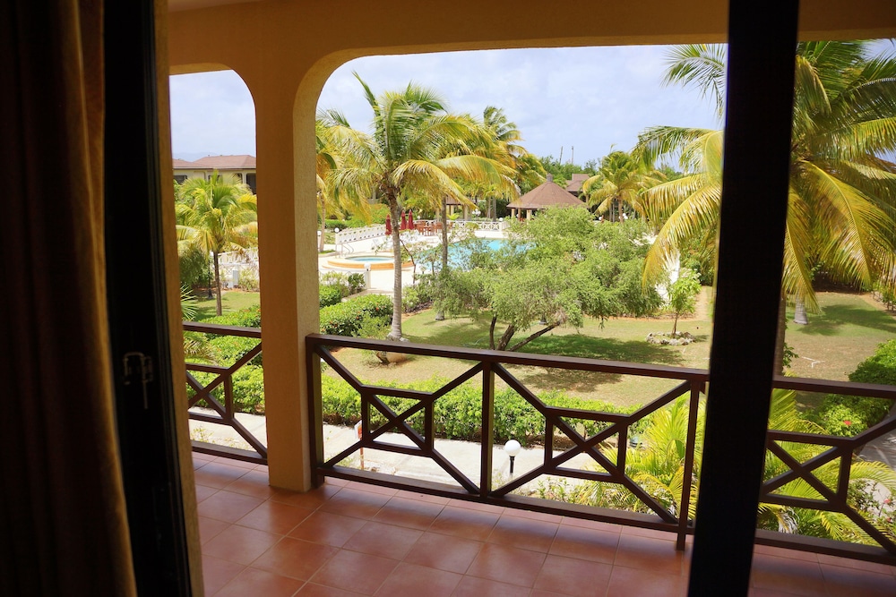 Studio Suite, Pool View photo 3