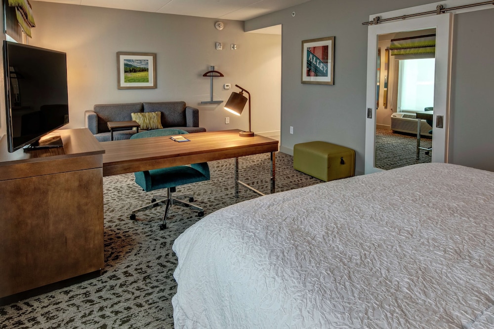 Suite, 1 King Bed, Accessible (Hearing) photo 1