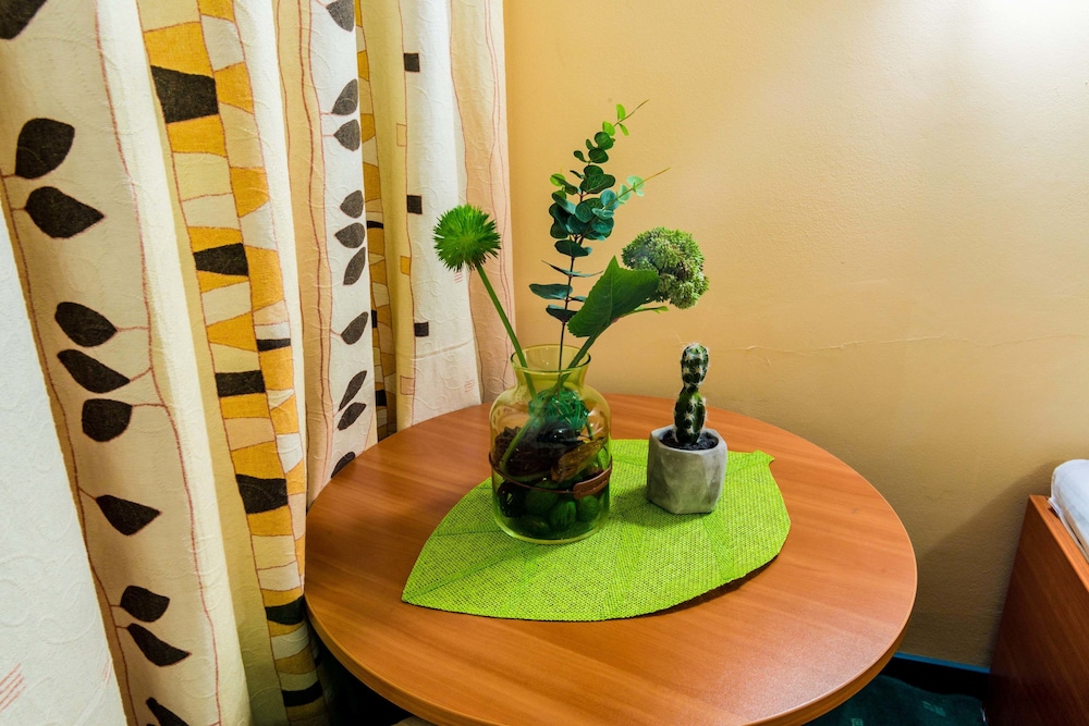Standard Twin Room photo 3