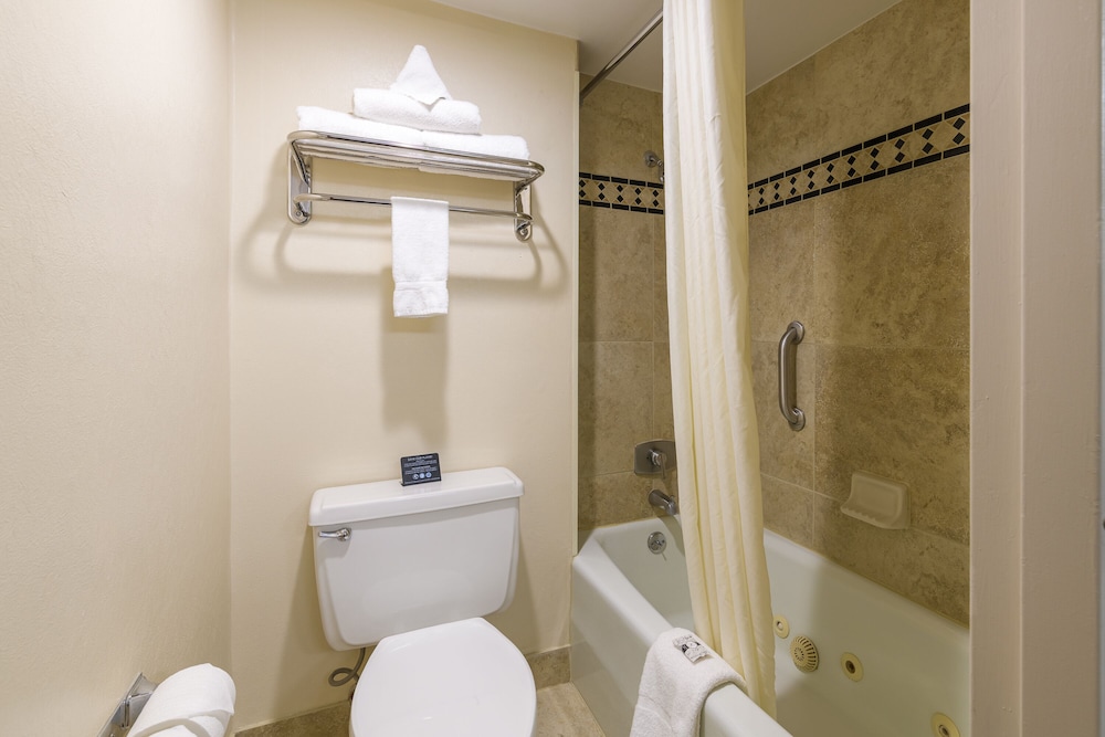 Junior Studio Suite, 1 King Bed photo 2
