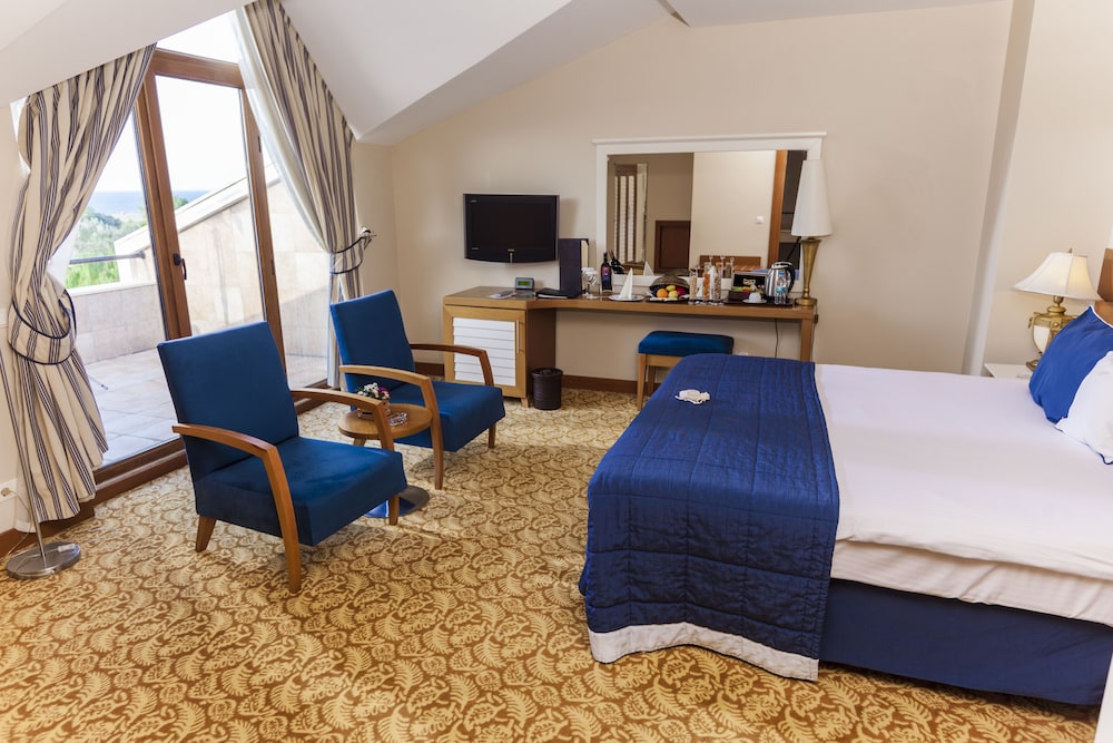 Deluxe Room photo 1