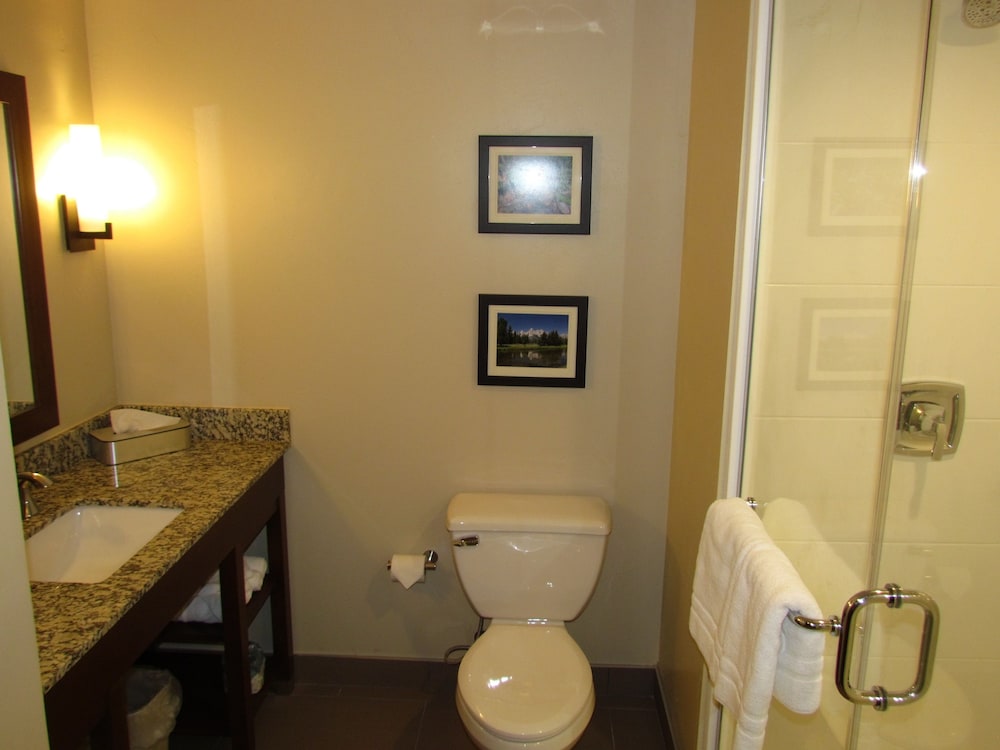 King Suite with Sofa Bed photo 3