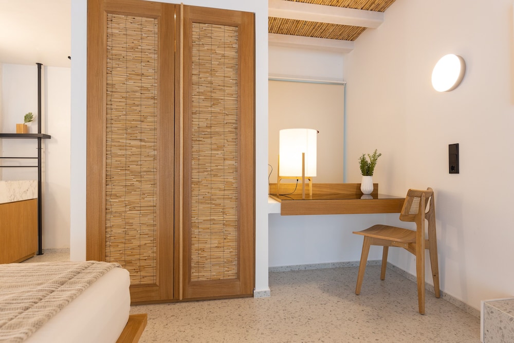 Loft Suite with Private Plunge Pool photo 3