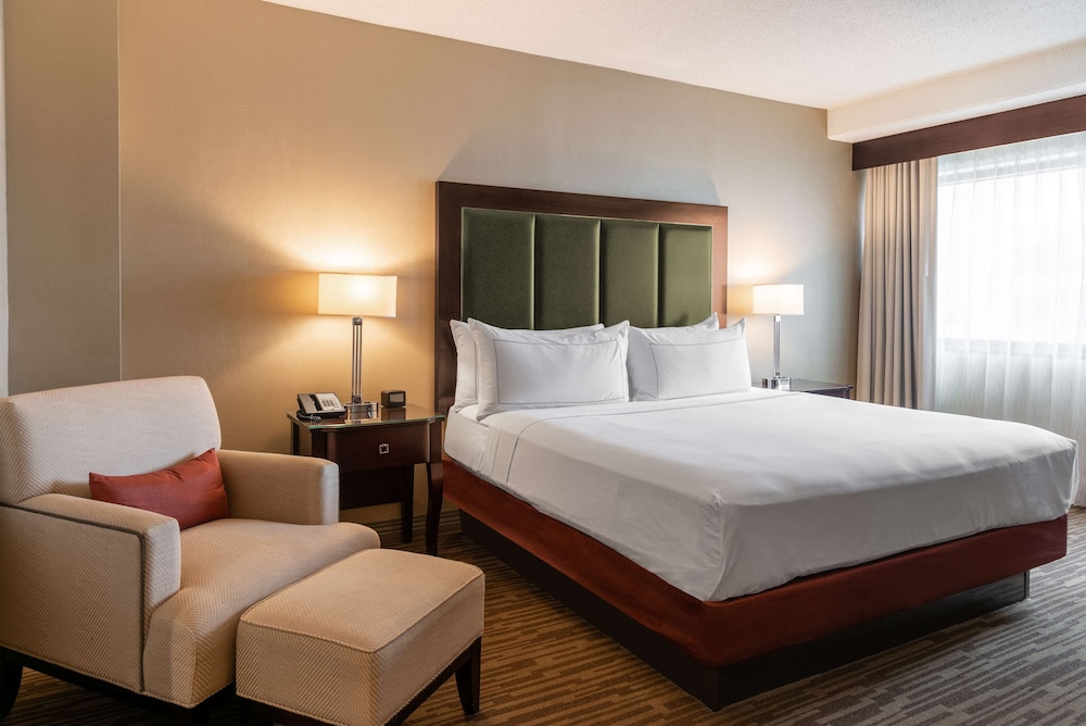 Suite, 1 King Bed photo 3