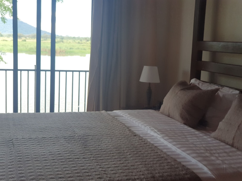 Suite - Photo 1