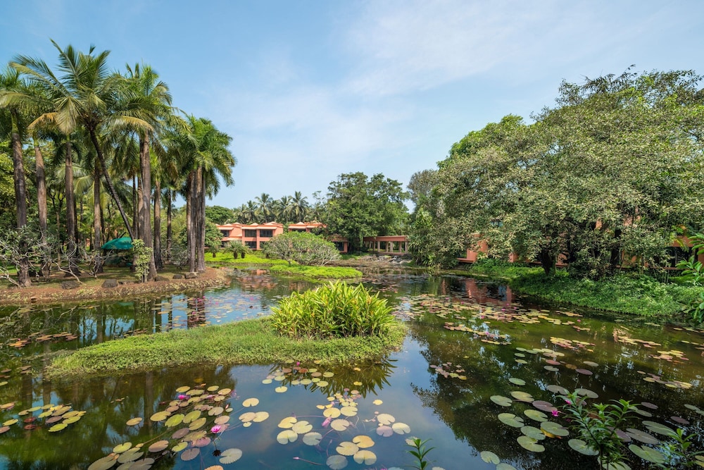 Grand Room, 1 King Bed, Lagoon View