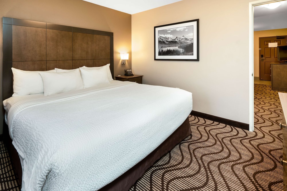 Room, 1 King Bed, Non Smoking, Kitchenette (with Sofabed)