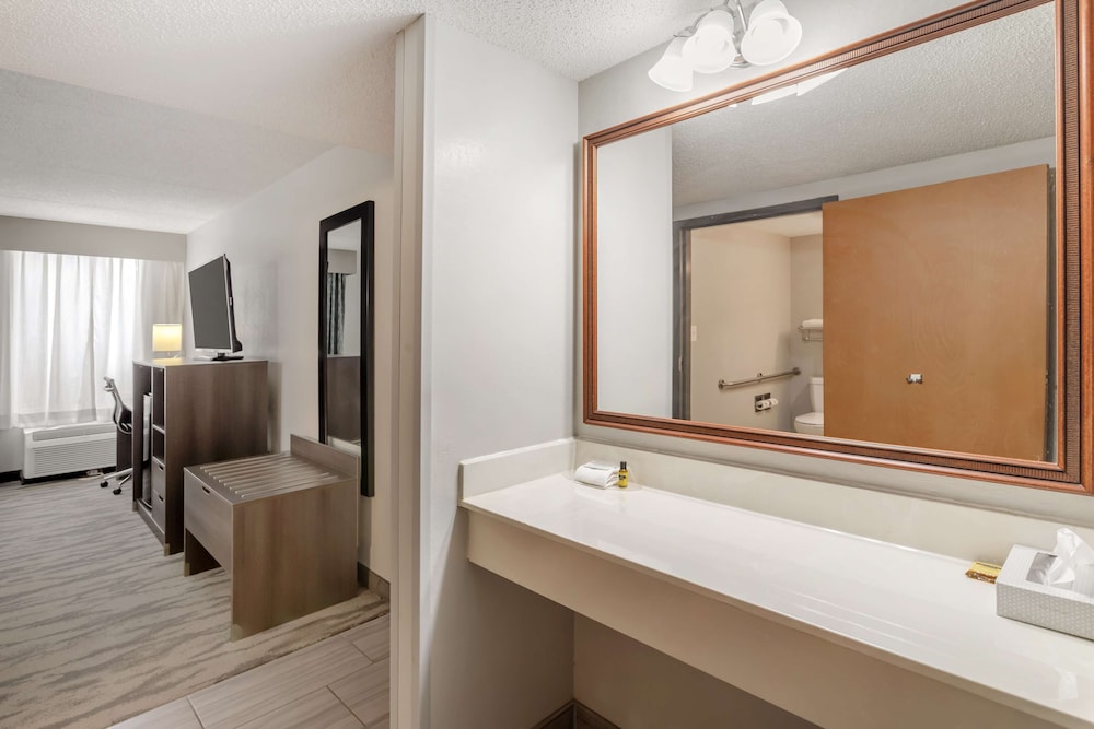 Standard Room, 1 King Bed, Accessible, Refrigerator & Microwave - Photo 3