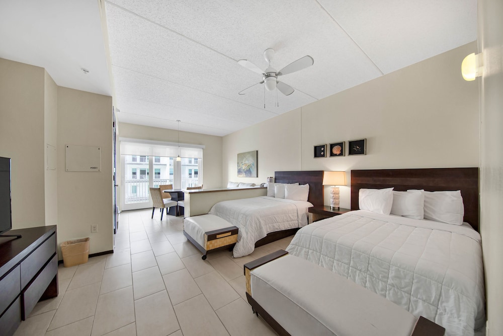 Studio, 2 Double Beds