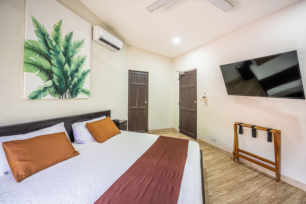 Double Room, King Bed - Pet Friendly photo 3