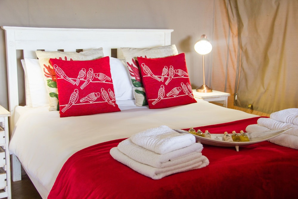 Luxury Tent, 1 Double Bed with Sofa bed photo 1