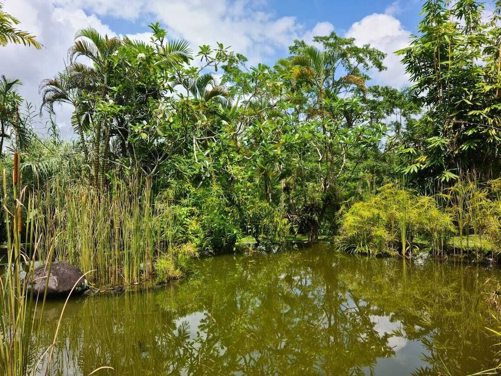 The Nature Suite - Photo 10