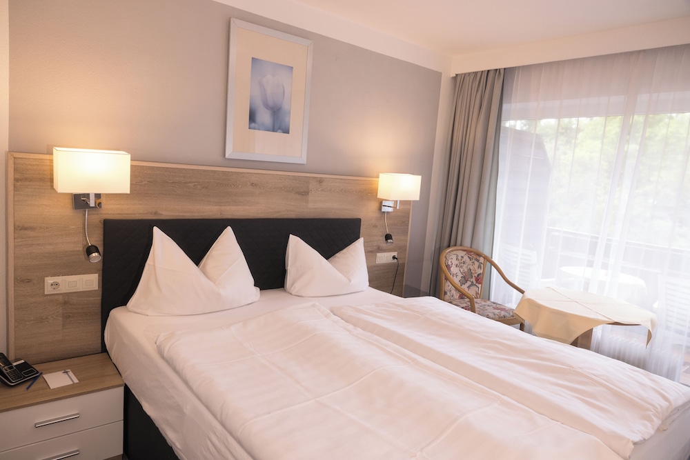 Basic Double Room, Balcony, Mountain View